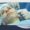 Facelift Procedure, What Happens During Surgery?